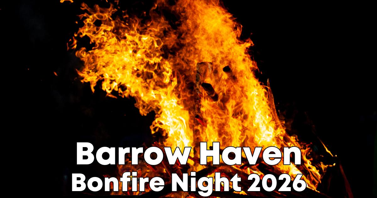 Bonfire Night in Barrow Haven poster