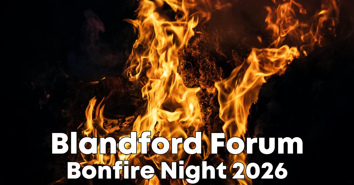Bonfire Night in Blandford Forum poster