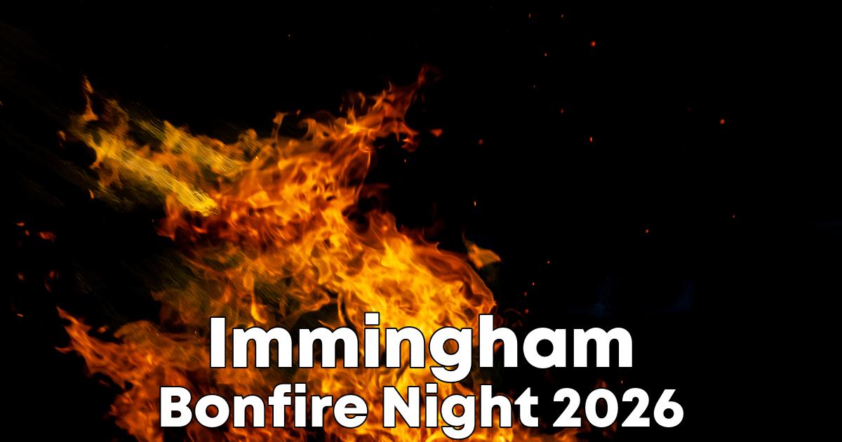 Bonfire Night in Immingham poster