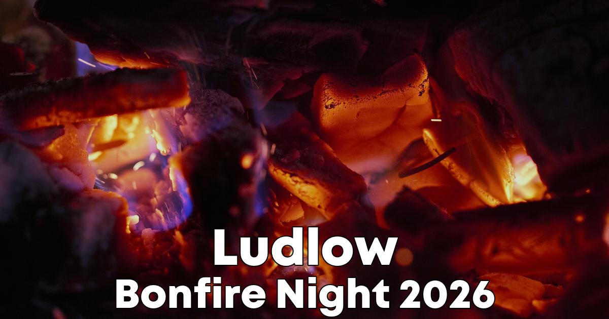 Bonfire Night in Ludlow poster