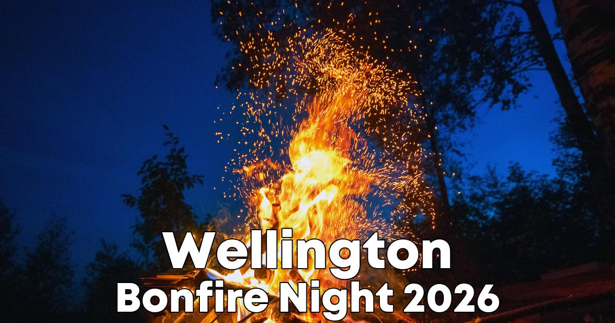 Bonfire Night in Wellington poster